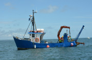 AUD's stockless anchor.