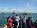Flotilla at AUD site.